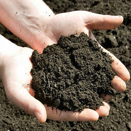 ГРУНТ, ЧОРНОЗЕМ