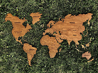 Дерев'яна карта Світу однорівнева на стіну з LED підсвічуванням (холодна/тепла)