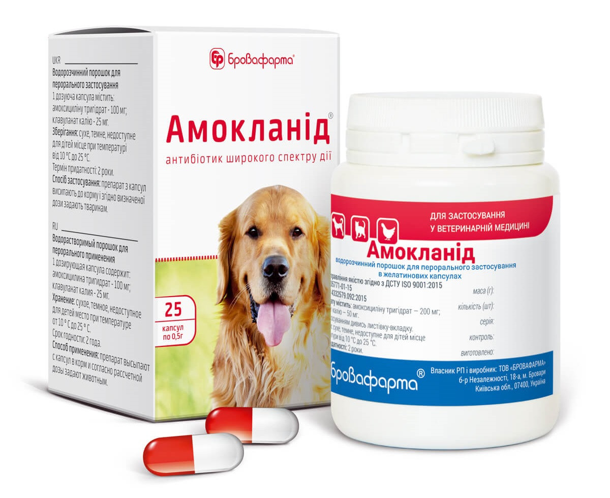 Амокланід 0,5 г 25 капсул