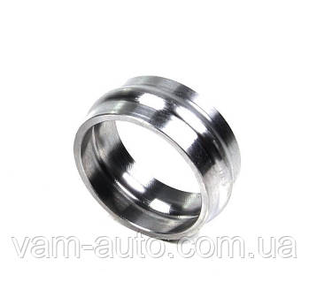 Биштейн порно видео