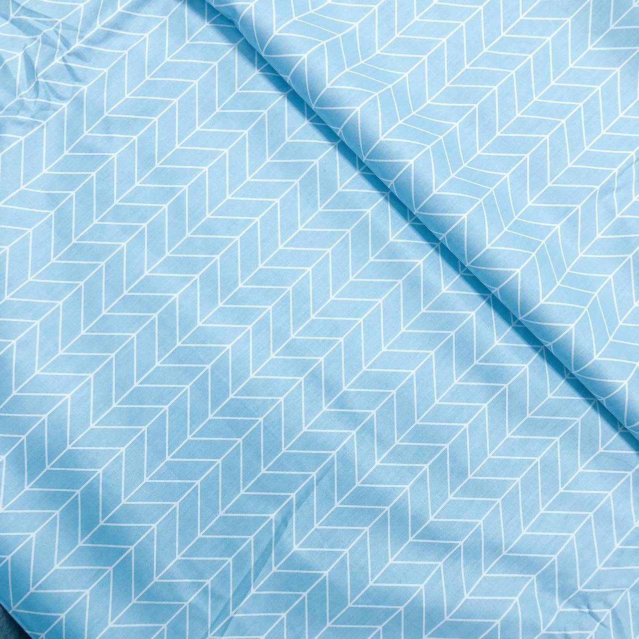 Π‘Π°ΡΠΈΠ½ "ΠΠ°Π·ΡΡΠΎΠ²Π° ΠΊΠΎΡΠ° ", ΡΠΎΡΠΎ 1