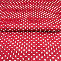 Π‘Π°ΡΠΈΠ½ "ΠΠΎΡΠΎΡ
Π±ΡΠ»ΠΈΠΉ Π½Π° ΡΠ΅ΡΠ²ΠΎΠ½ΠΎΠΌΡ 7 ΠΌΠΌ", ΡΠΎΡΠΎ 2