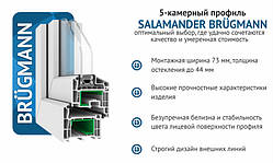 Brugmann Salamander BLUEVOLUTION 73 (Саламандер Брюгман БлюЭволюшн 73).