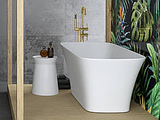 Ванна окремо стоїть ASSOS 160х70х64 см BESCO PMD AMBITION, фото 3