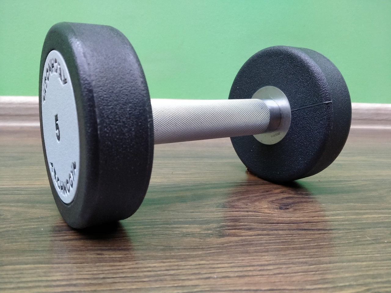 Гантель суцільна професійна TECHNOGYM (1 шт.) 5 кг (поліуретанове покриття, вага 5 кг)