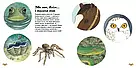 Дізнавайся про світ разом із нами. Які органи чуття у тварин? Автор Алехандро Альґарра, фото 3