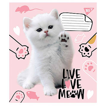 Зошит 12арк. лін. YES Live love meow №765504(25)(500)