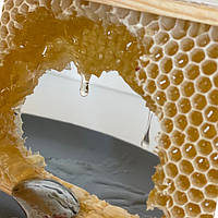 Товари бджільництва