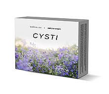 CYSTI (Цісті)