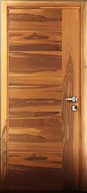 Двері Danapristyle Forte