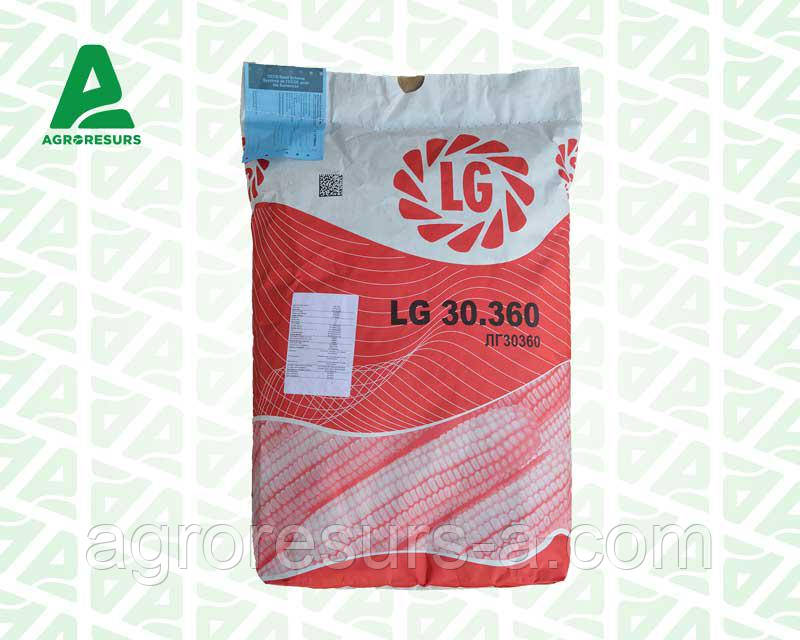 Насіння кукурудзи ЛГ30360/LG30.360 (ФАО 340)
