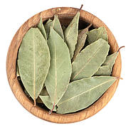 Лавровий лист