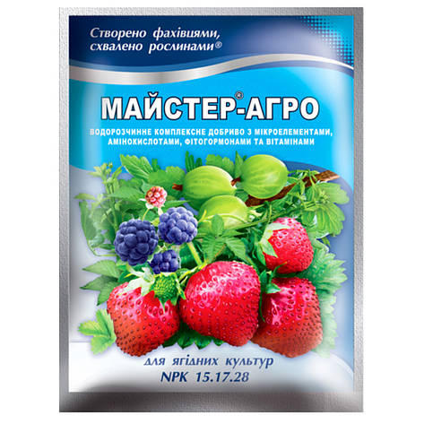Добриво Майстер-агро для ягідних 100 г ТОВ Караван, фото 1