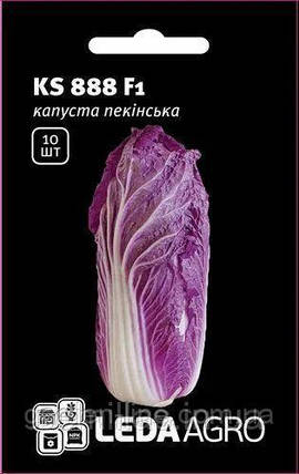 Насіння Капуста пекінська KS 888 F1 червона 10шт ТМ LEDAAGRO, фото 1