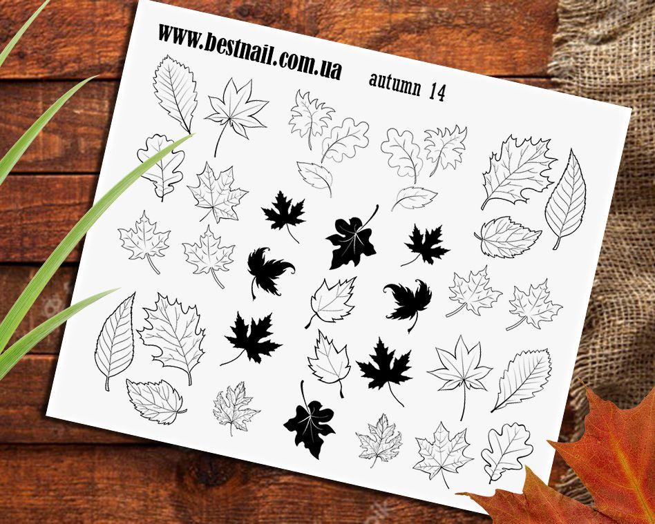 Слайдер-дизайн Autumn 14, фото 1