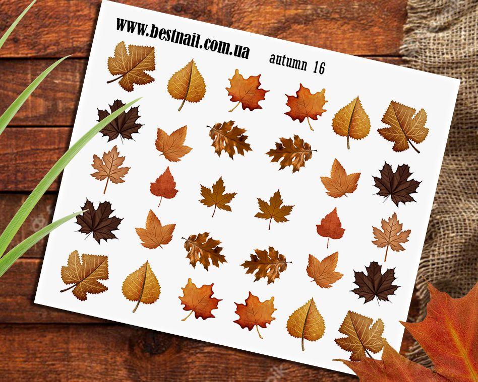 Слайдер-дизайн Autumn 16, фото 1