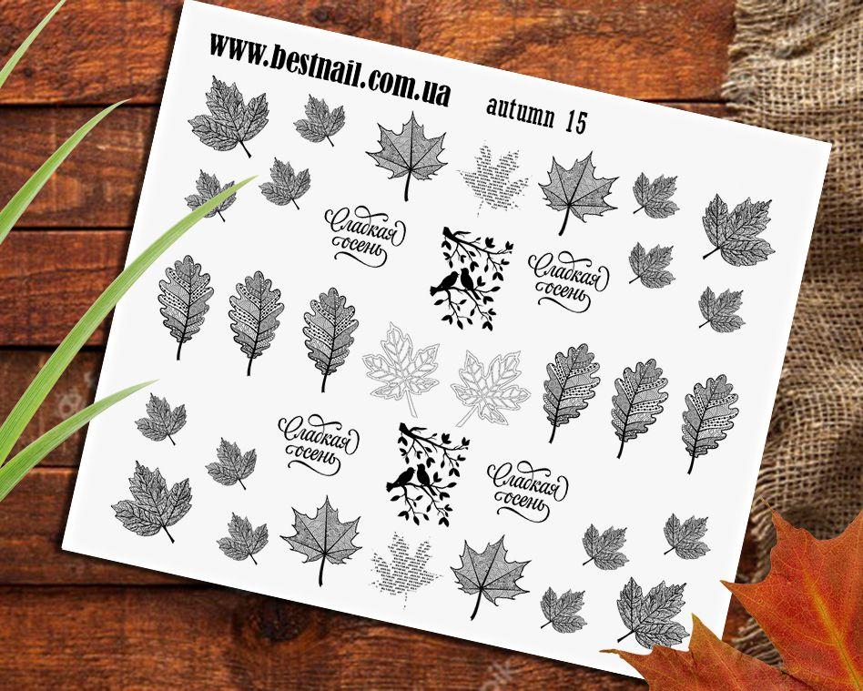 Слайдер-дизайн Autumn 15, фото 1