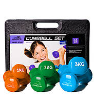 Набір гантелей в кейсі 12 кг. PowerPlay 4118 Fitness Dumbells (2шт.*1кг. 2 шт.*2кг. 2шт.*3кг.)