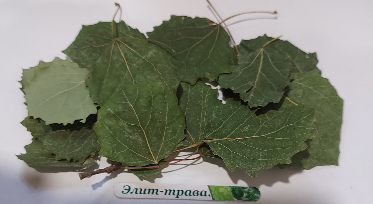 Осика звичайна листя 50 грам