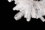 Ялинка лита "Ковалівська" Біла 2,10 м, фото 3