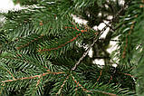 Ялинка лита "Ковалівська" Зелена 1,50 м, фото 4