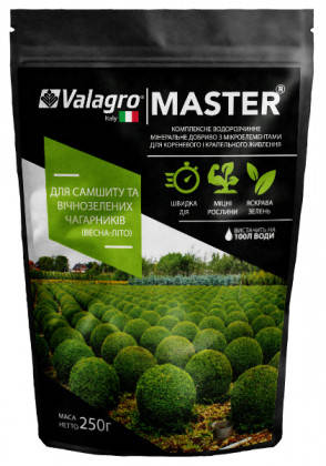 Добриво Майстер Master для самшиту і вічнозелених 250 г Valagro, фото 1