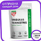 Трибулус Террестрис (90% сапонінів) Tribulus Terrestris 100 г, фото 4