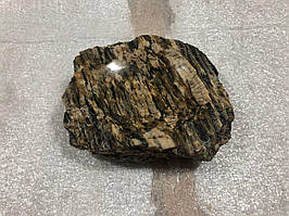 Мильниця для твердого мила з скам'янілого дерева