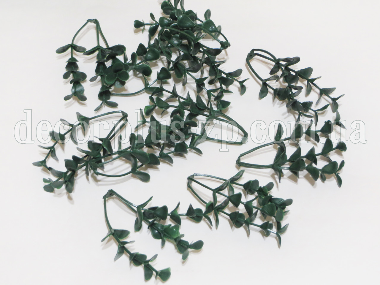 Евкаліпт-додаток (10шт), фото 1