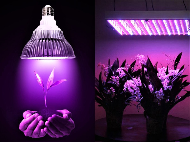 светодиодное фитоосвещенеие led интернет магазин фитоосвещенеие led интернет магазин