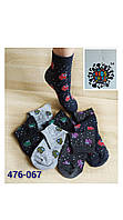 Шкарпетки дитячі "Дукат Kids Socks". Амонг Ас. Розмір 5-6років. № 476-067.