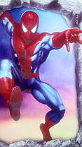 Дитячі наклейки на стіну, двері, шафу, вікна "Людина-павук Spider-Man" (лист 50*70 см), фото 5
