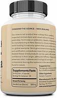 Ancestral Supplements Beef Liver /натуральне залізо, вітаміни A та B12 для отримання енергії 180 капсул BX832, фото 5