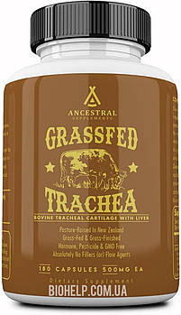 Ancestral Supplements Trachea / імунітет та здоров'я суглобів 180 капсул BX254