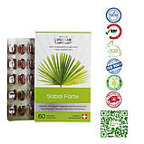 Сабаль Форте для чоловіків Швейцарія, фото 2