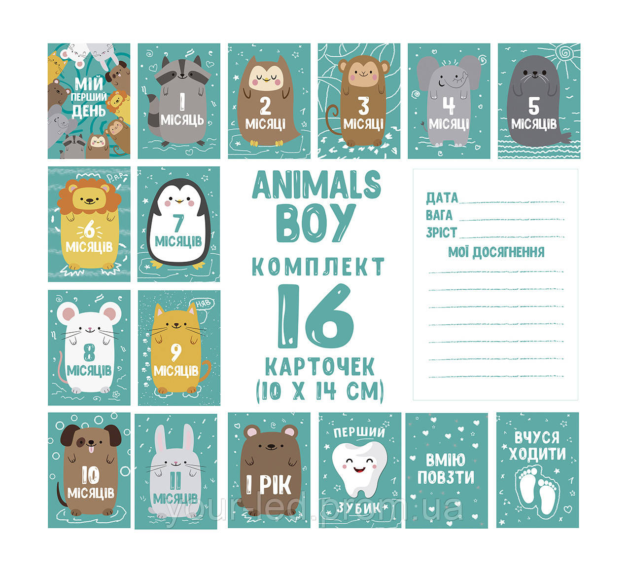 Двосторонні картки для фото/фотосесії (фотокартки) новонароджених за місяцями "Тварини" для хлопчика