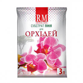 Брунька