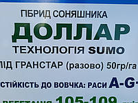 Соняшник під гранстар Долар 47ц / га. ранньостиглий, тривалість соняшнику Долар стійкий до семи рас вовчка A-G +, фото 11