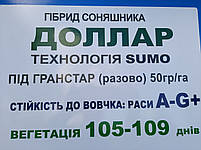 Соняшник під гранстар Долар 47ц/га Гібрид соняшнику Долар стійкий до семи рас вовчка A-G+, фото 7