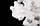 Ялинка штучна "біла Казка" 1.3 м, фото 5
