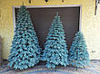 Швейцарська блакитна 2.1 м лита ялинка штучна, фото 10