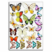 Метелики різнобарвні вафельна картинка