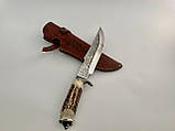 Ніж ручної роботи «Лев» рукоять ріг лося., фото 3