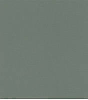 Шпалери 552751 Rasch Salsbure каталог для стін вінілові на флізеліні Німеччина фактурні однотонні базові