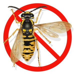 Від ос та шершнів