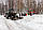 Прибирання снігу на вулицях Києва, фото 5