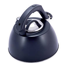 Чайник із нержавіючої сталі зі свистком та термометром для індукції та газу (3 л) Kamille KM-1077A