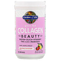 Garden of Life Grass Fed Collagen Beauty Strawberry Lemonade 20 порций