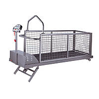 Бігова доріжка для собак з автоматичним кутом підйому