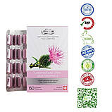 Захист печінки розторопша і вітамін Е Швейцарія, фото 2